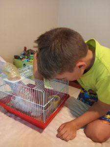 Inspecting the hamsters cage